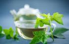 Å lage te fra ripsblader, fordelene og skadene ved drikken