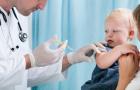 Symptoms of whooping cough in children under one year of age and older: first signs and methods of treatment at home