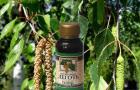 Birch tar: benefits and harms, oral administration, use for hemorrhoids
