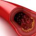 How to donate blood for cholesterol: preparation and decoding