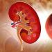 Kidneys: psychosomatics of diseases