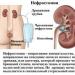 Urinary catheter care Contraindications for nephrostomy