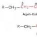 Energy balance of oxidation of saturated fatty acids with an even number of carbon atoms