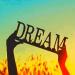 Aphorisms and quotes about dreams